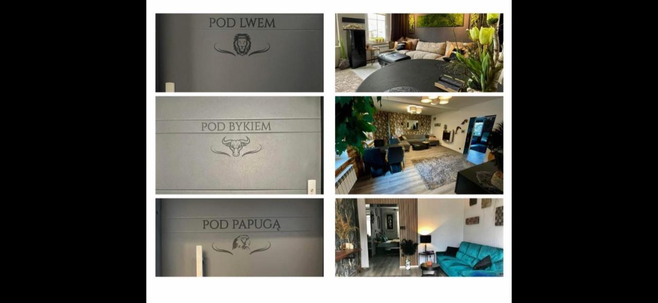 Pod Lwem Apartment Kościerzyna Exterior foto